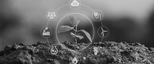 EMM International BV behaalt met trots het ISO-14001-certificaat